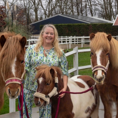 Bee You Paardencoaching