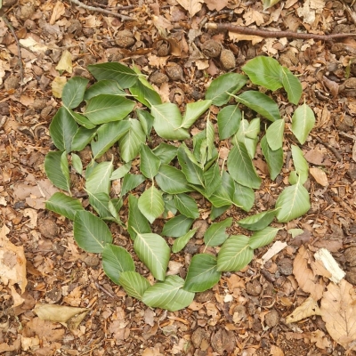 Liefde voor Outdoor