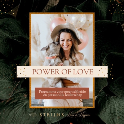 Steijns House of Happiness