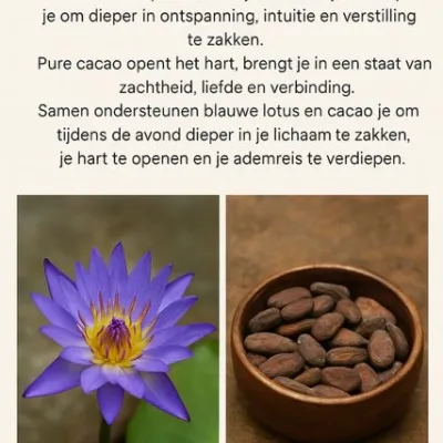 Hilda van der Burgh-Lagraauw