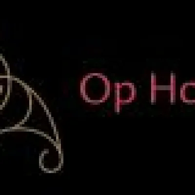 Hilda van der Burgh - Coaching praktijk Heppie People