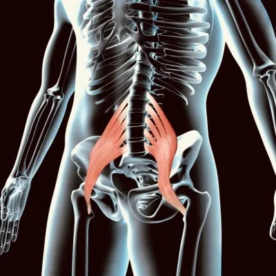 Welzijnspraktijk Edelman