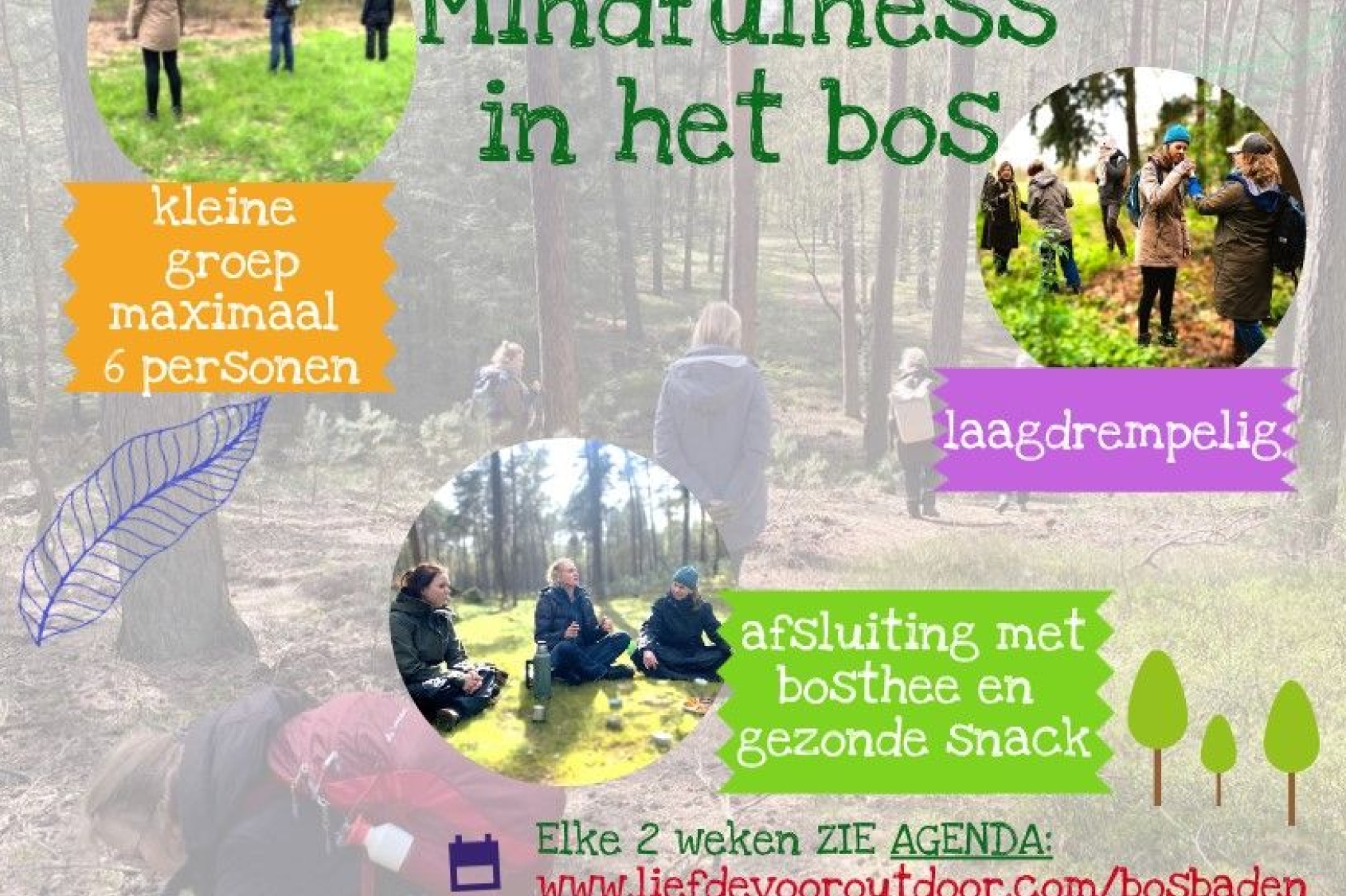 Ontspan, vertraag en herontdek je relatie met de natuur tijdens een begeleid bosbad met Liefde voor