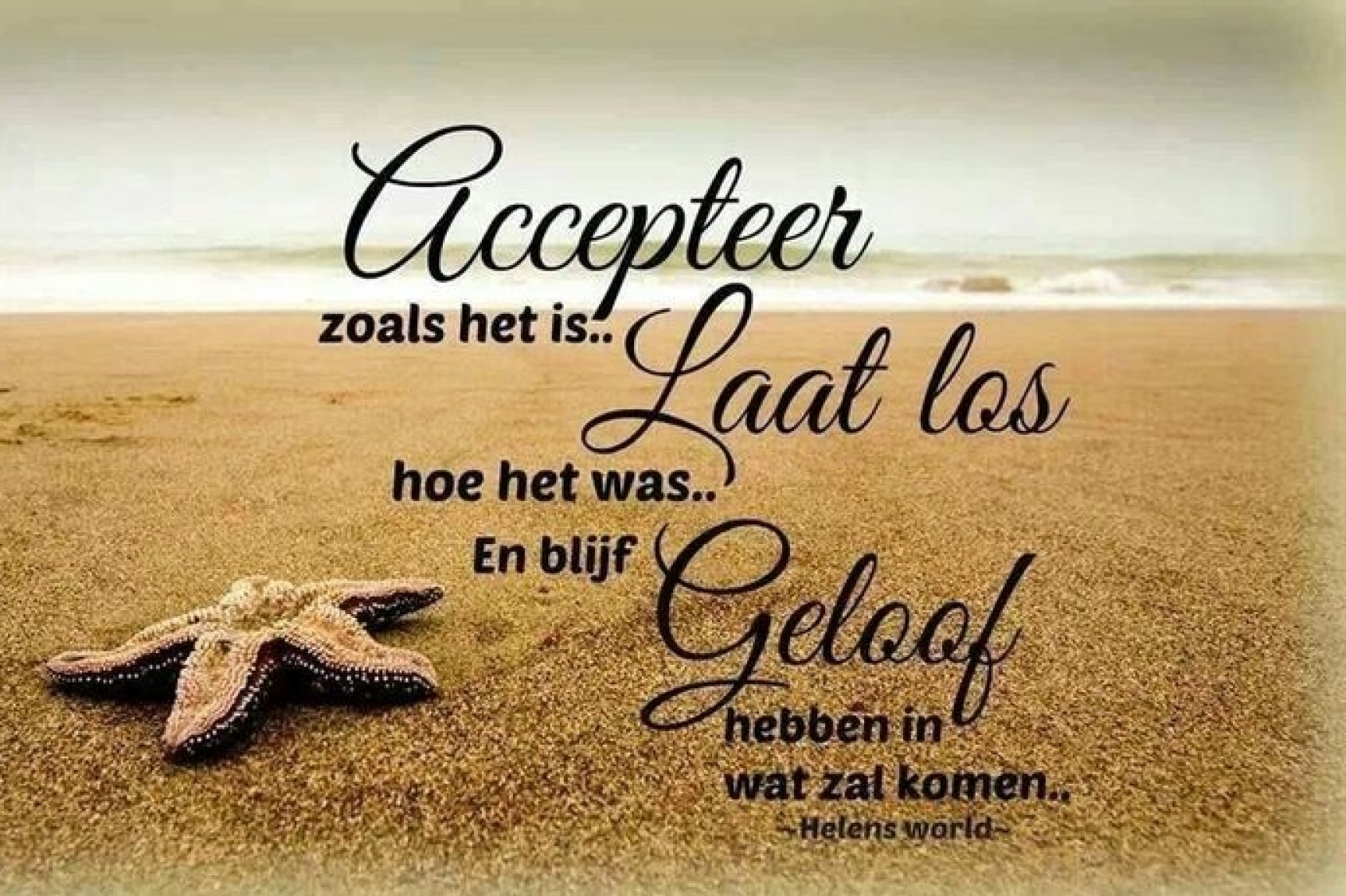 Personal Life coach - Ademwerk & Body release - Zwem- en koude trainster.