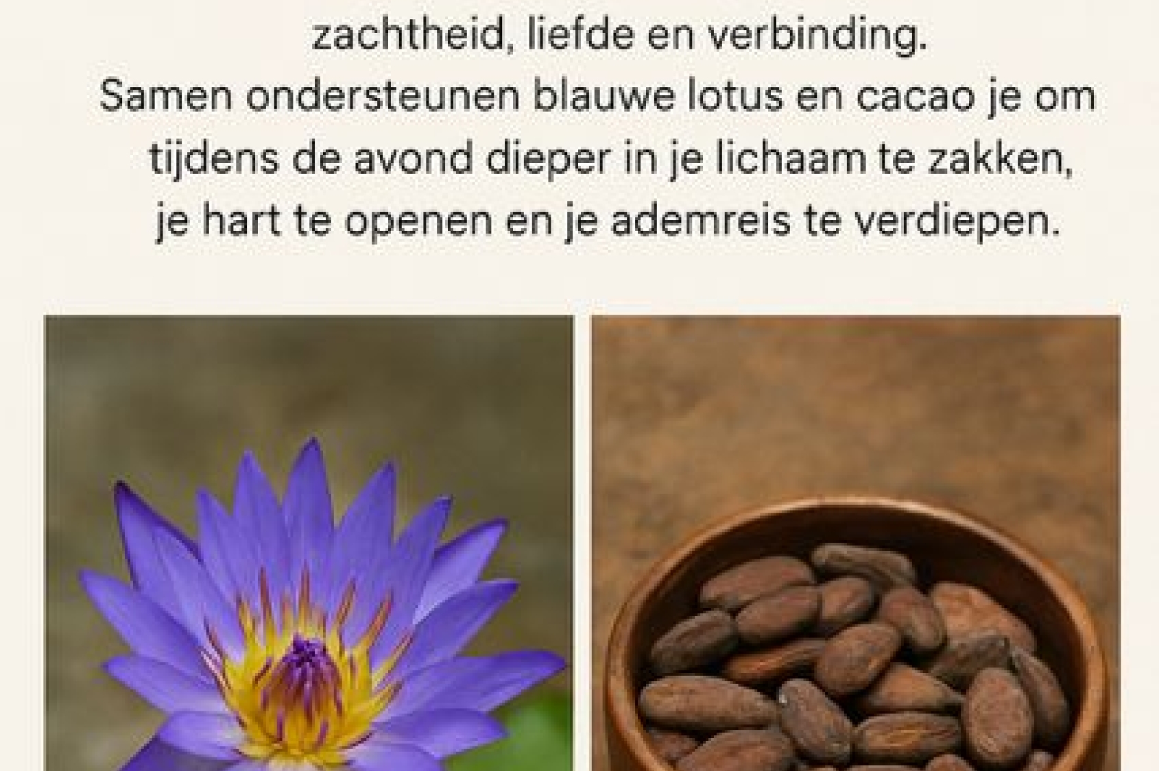 Sacred Breath & Cacao Ceremony
