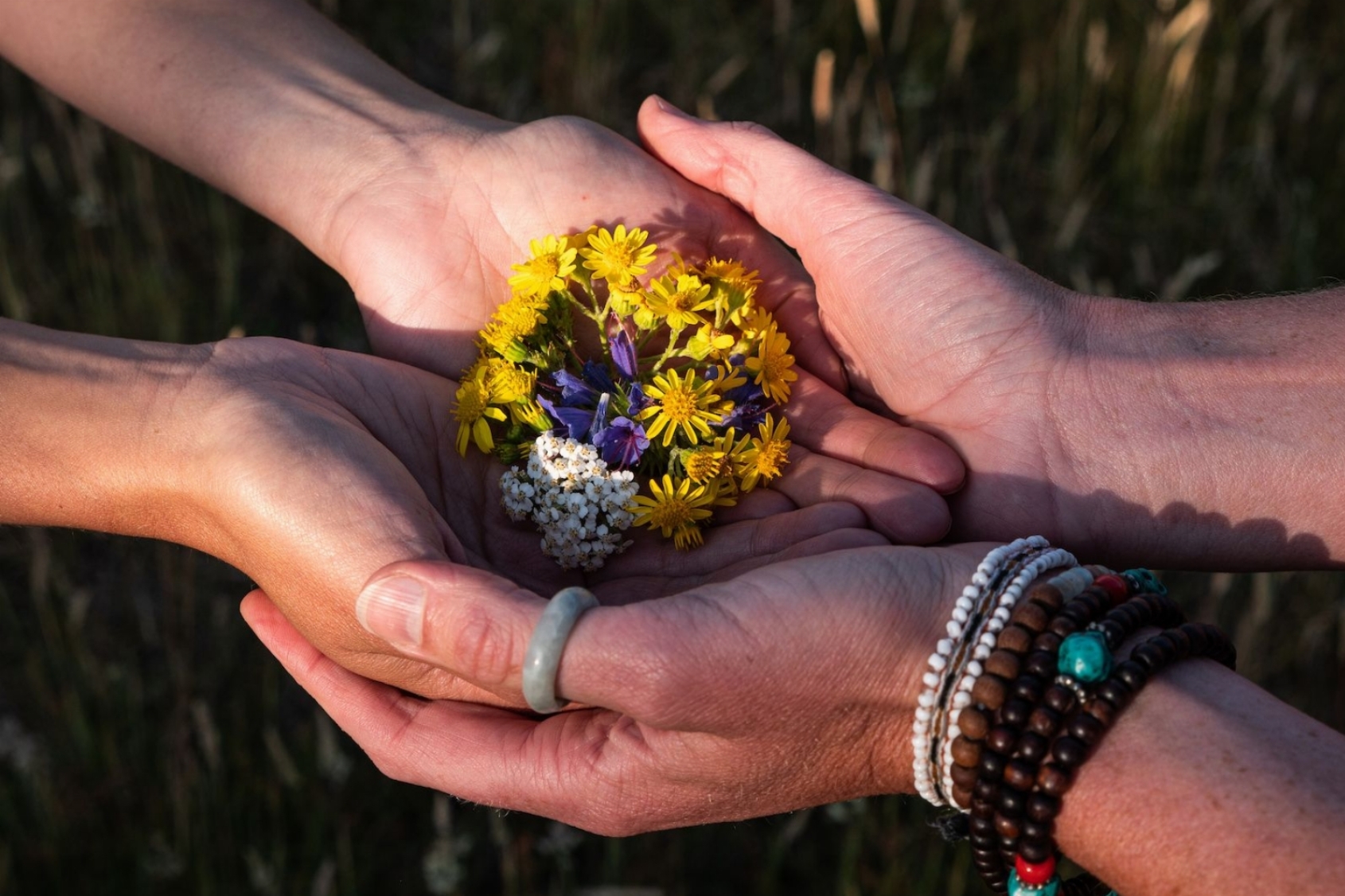 Polyvagaal therapie - IFS informed therapie - Integrale therapie - Psychedelic - Vrouwenwerk